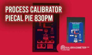 process calibrator Piecal PIE 830PM